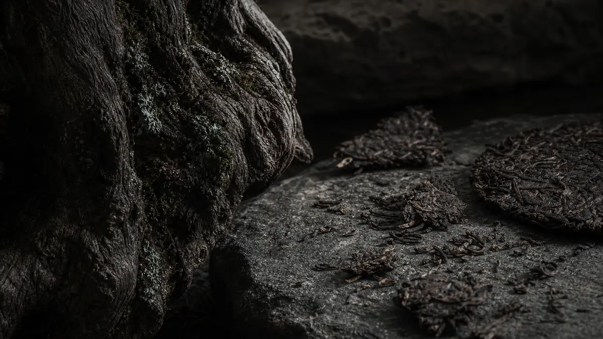 dark atmospheric editorial tea photograph, ancient gnarled tea tree bark in extreme close up with deep textured crevices