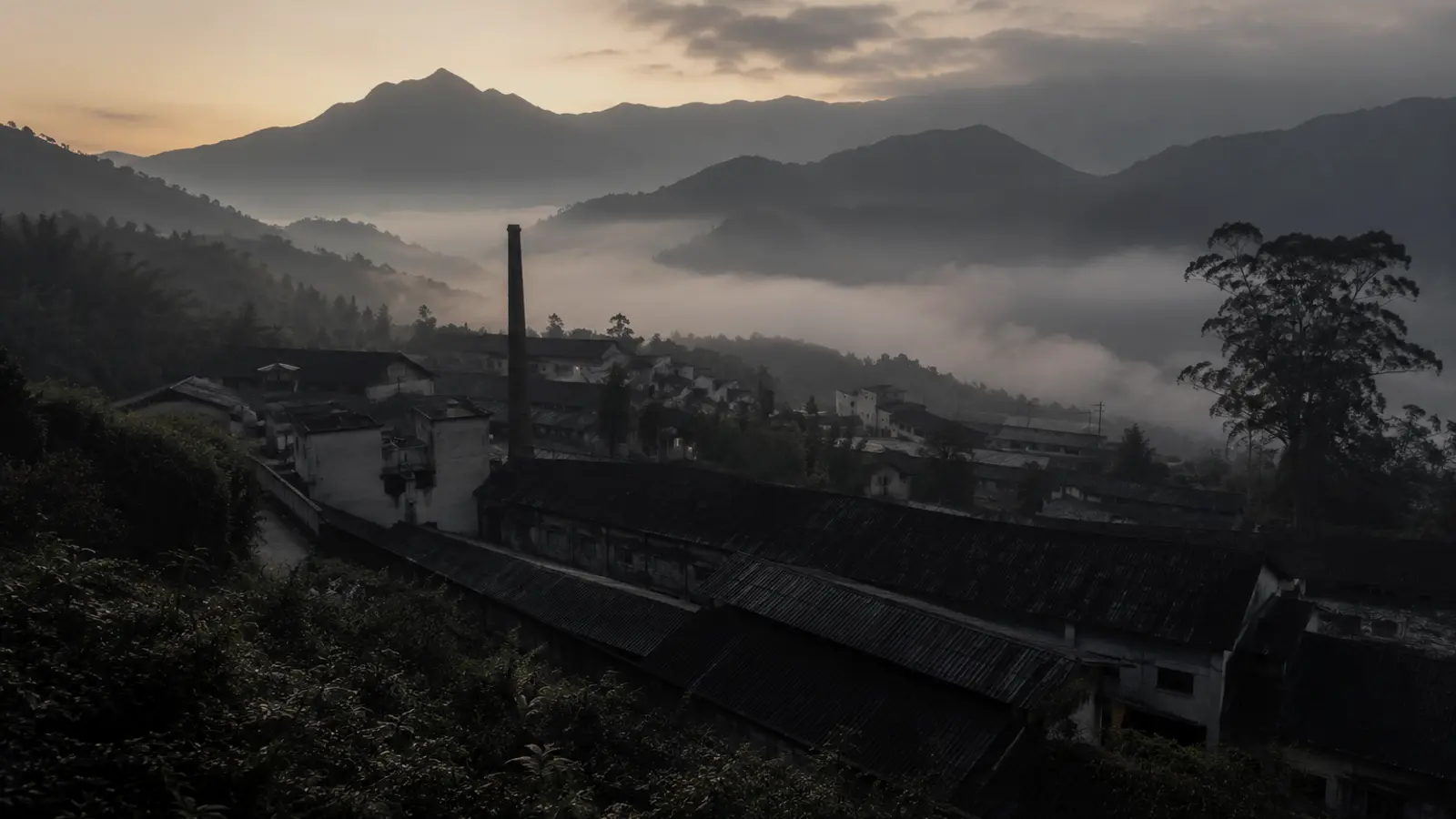 Tea processing facility with bamboo drying racks in morning mist, mountains rising behind traditional factory architecture in Menghai County.